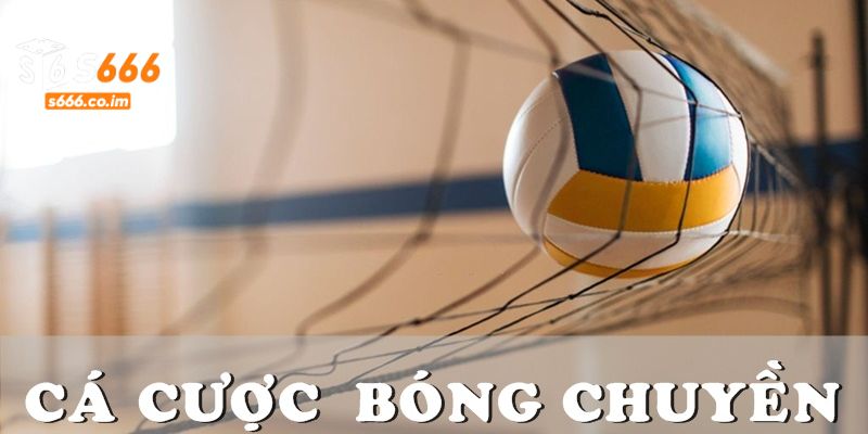 Tìm hiểu về bộ môn cá cược bóng chuyền S666