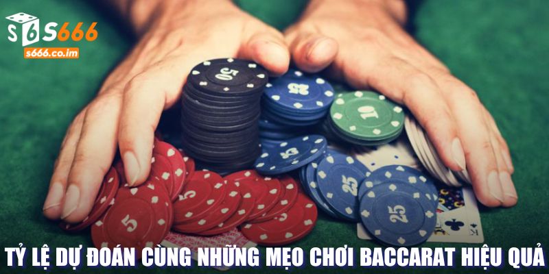 Tỷ lệ dự đoán trong Baccarat hữu ích